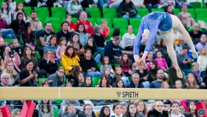 grand prix della ginnastica 0433 sfe08332 copia simone ferraro ph